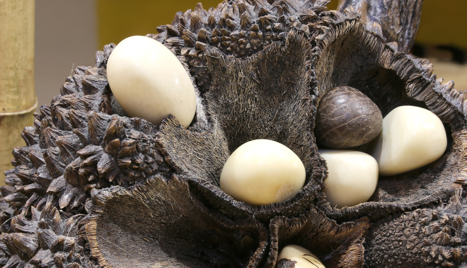 LA FILIERA PRODUTTIVA LOCALE