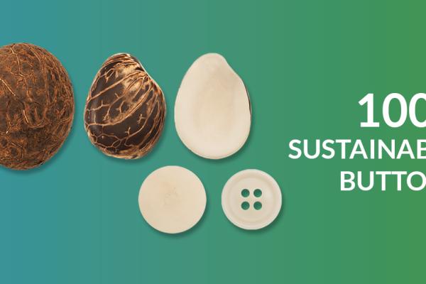 carousel con immagini