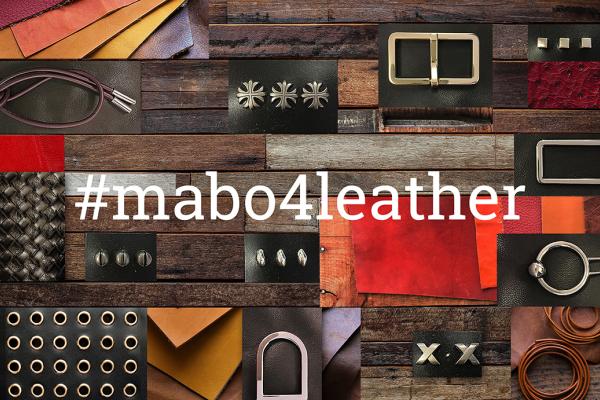 carousel con immagini