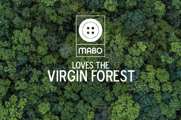 carousel con immagini