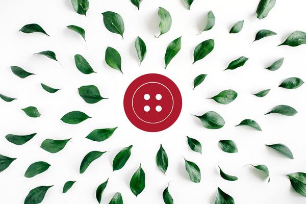 carousel con immagini